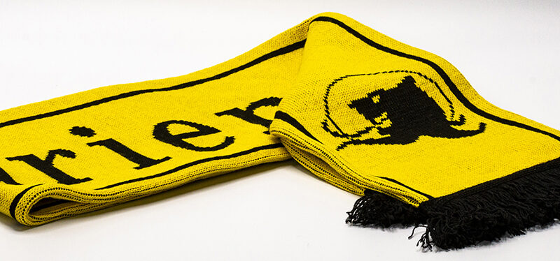 Supporterssjaal Flandriens. En je bent niet te temmen.