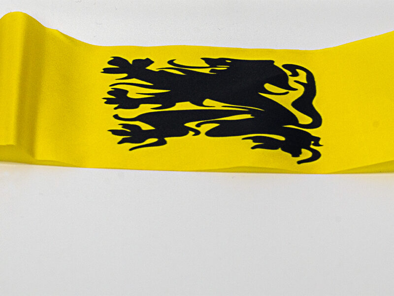 Polyester zwaaivlaggetjes (24 x 18 cm) – 10 stuks