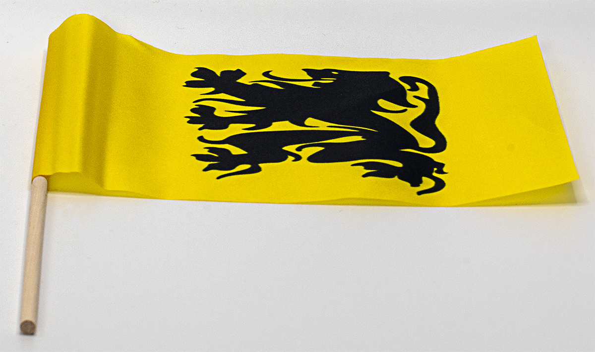 Polyester zwaaivlaggetjes (24 x 18 cm) – 10 stuks