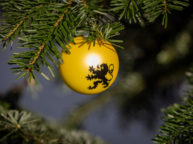 Kerstballen met Vlaamse Leeuw