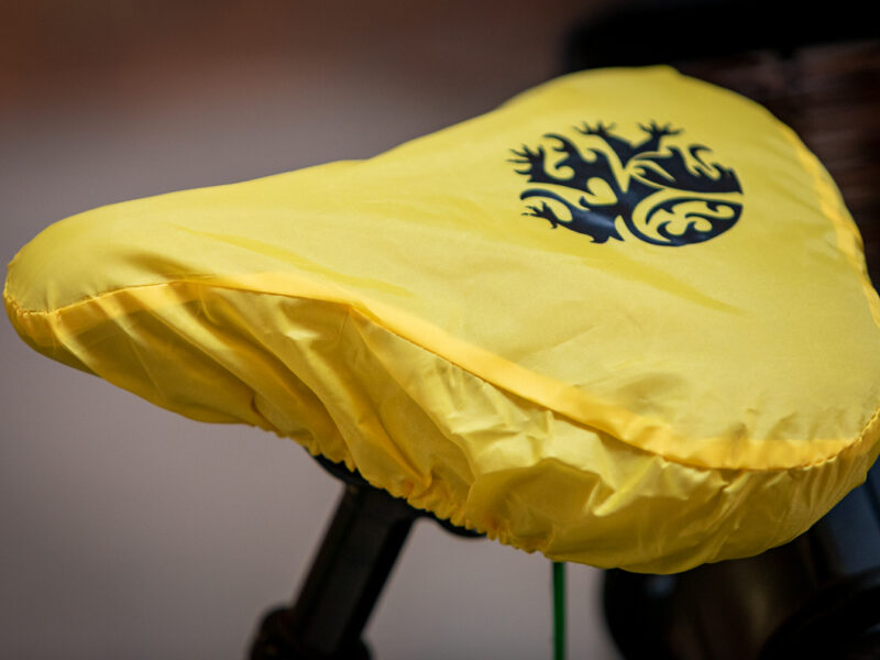 Zadelhoes Vlaamse Leeuw