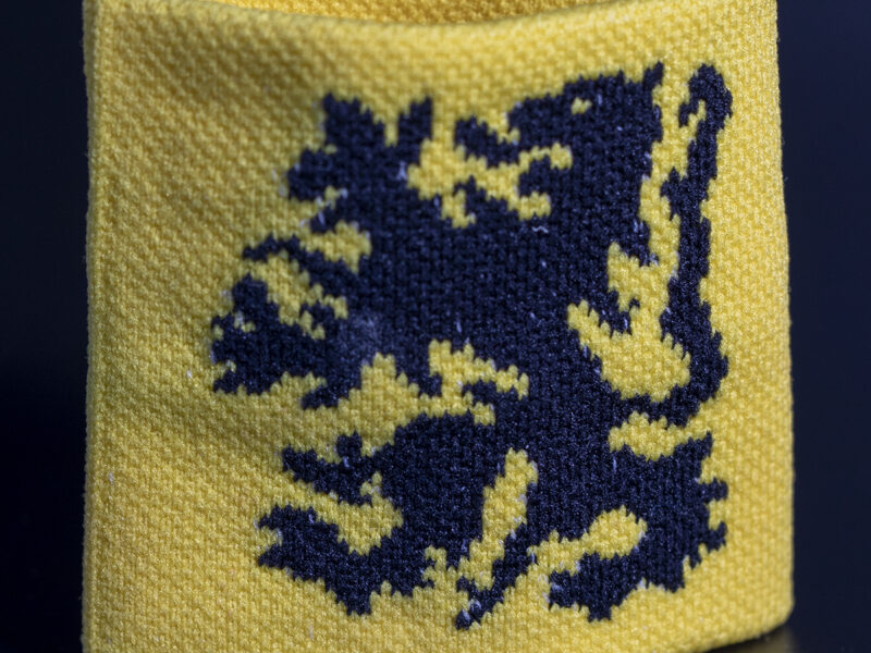 Polsbandje met zwarte leeuw