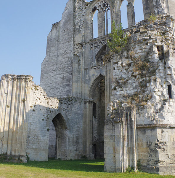 Le néerlandais à Saint-Omer à travers les siècles